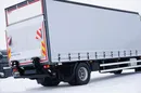 DAF / LF / 290 / E 6 / FIRANKA + WINDA / ŁAD. 9 970 KG / 19 PALET zdjęcie 32