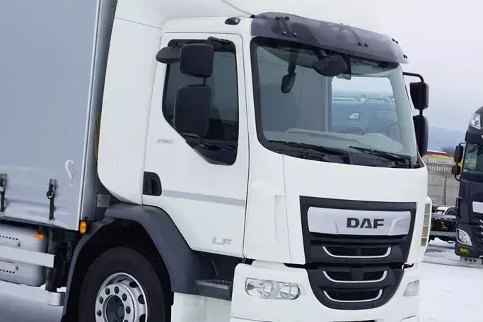 DAF / LF / 290 / E 6 / FIRANKA + WINDA / ŁAD. 9 970 KG / 19 PALET zdjęcie 34
