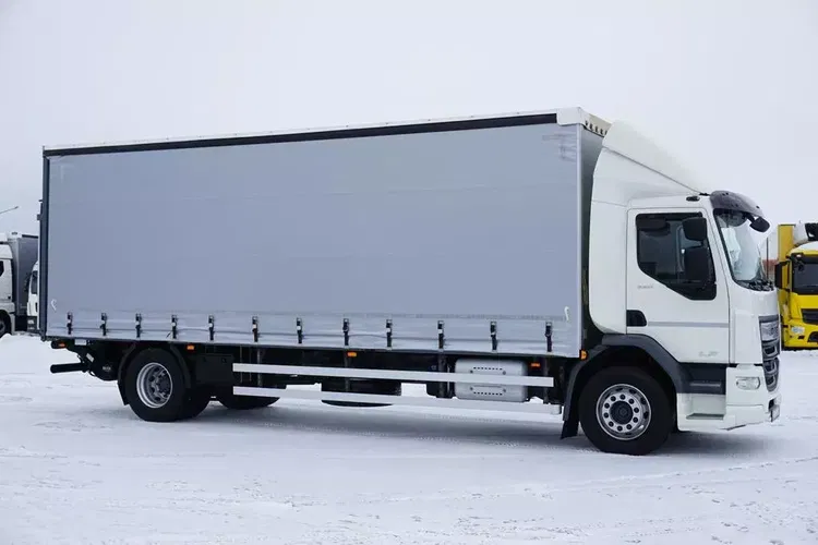 DAF / LF / 290 / E 6 / FIRANKA + WINDA / ŁAD. 9 970 KG / 19 PALET zdjęcie 4