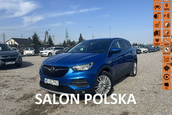 Opel Grandland X I właściciel, salon Polska, bezwypadkowy, serwis do końca ASO