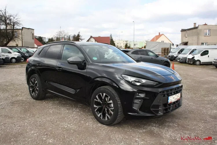 Cupra terramar zdjęcie 1
