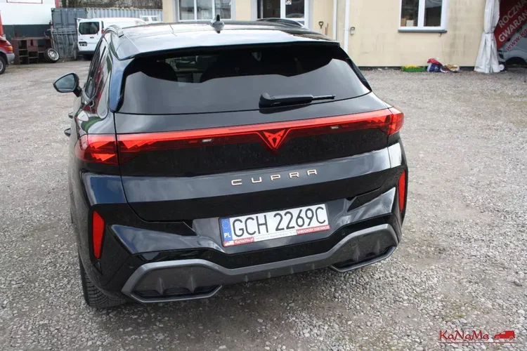 Cupra terramar zdjęcie 12
