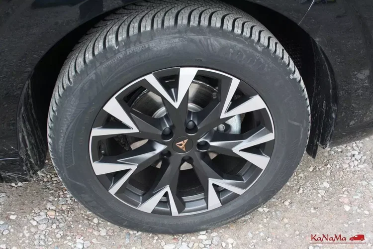 Cupra terramar zdjęcie 14