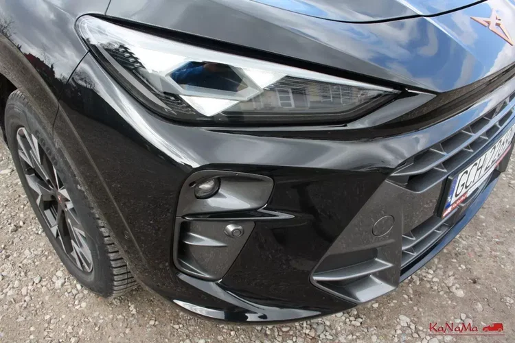 Cupra terramar zdjęcie 15