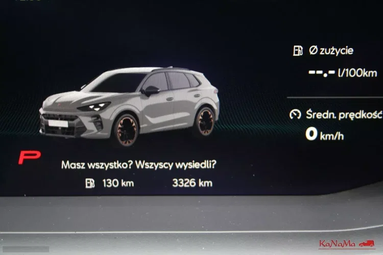 Cupra terramar zdjęcie 32
