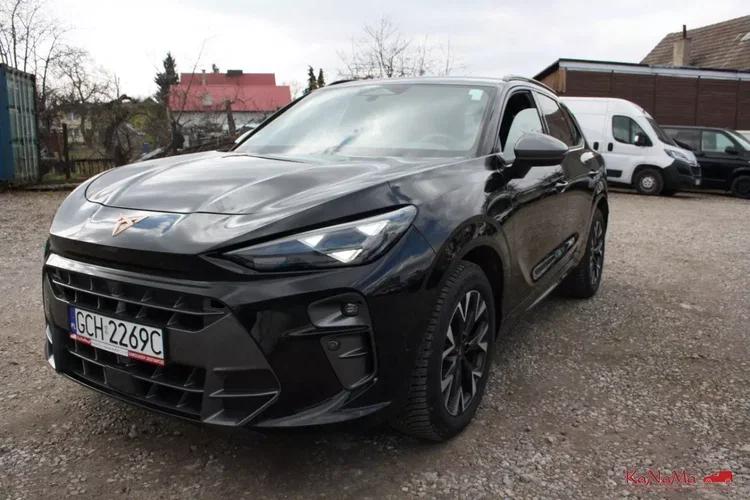 Cupra terramar zdjęcie 6