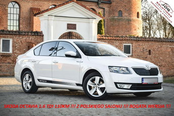 Skoda Octavia Z salonu 100% Oryginał - Niski przebieg - Nawigacja - Klimatronic