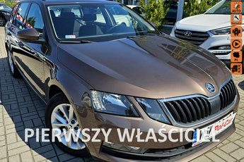 Skoda Octavia Pierwszy właściciel, bluetooth, czujniki parkowania, klimatronik
