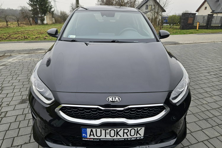 Kia Cee'd Polski salon, Android, Kamera, Gwarancja zdjęcie 2