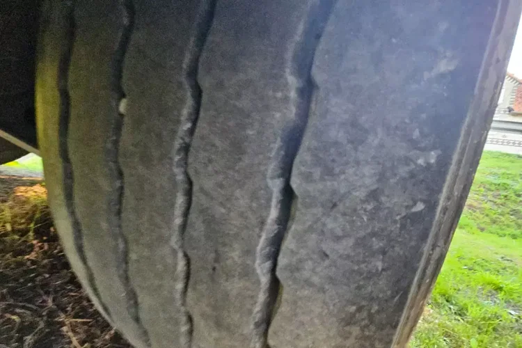 BENALU 50M zdjęcie 13