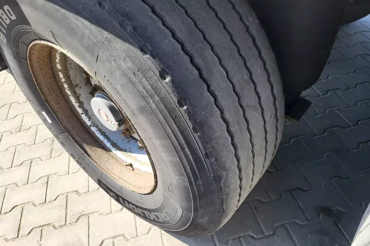 Schmitz - zdjęcie 5