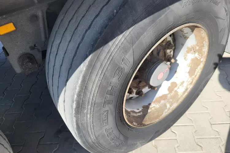 Schmitz - zdjęcie 6