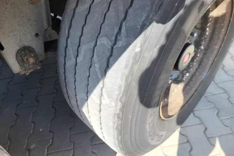 Schmitz - zdjęcie 7