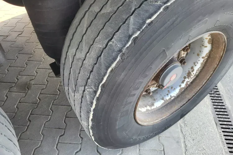 Schmitz - zdjęcie 8