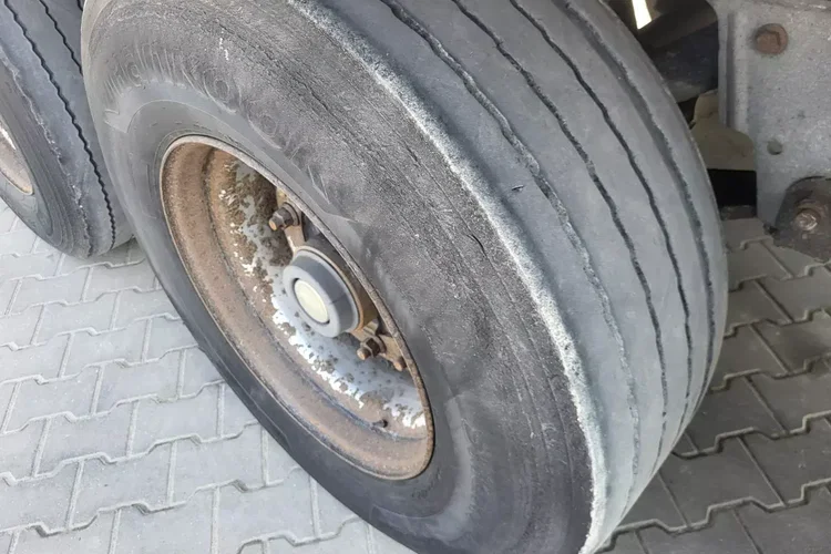 Schmitz - zdjęcie 9