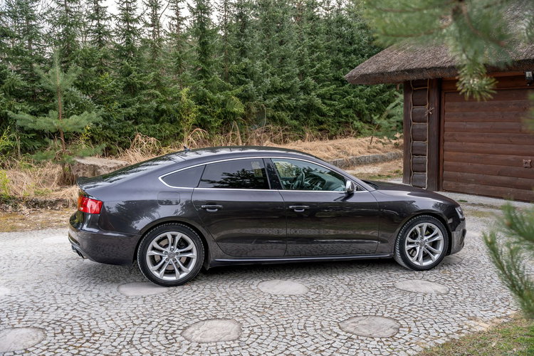 Audi S5 / 3.0 TFSI 333KM / V6 / Po serwisie / Quattro S tronic / FV zdjęcie 16