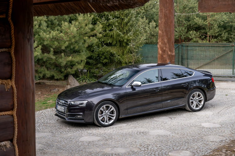 Audi S5 / 3.0 TFSI 333KM / V6 / Po serwisie / Quattro S tronic / FV zdjęcie 21