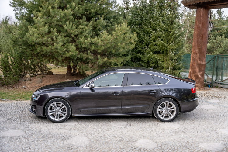 Audi S5 / 3.0 TFSI 333KM / V6 / Po serwisie / Quattro S tronic / FV zdjęcie 7