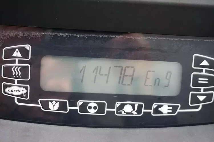 Schmitz / CHŁODNIA / CARRIER VECTOR 1350 / OŚ PODNOSZONA zdjęcie 24