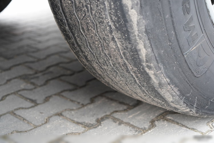 SCHMITZ CARGOBULL  / CHŁODNIA / THERMO KING /  WINDA DHOLLANDIA / KOSZ NA PALETY / SAF   zdjęcie 24