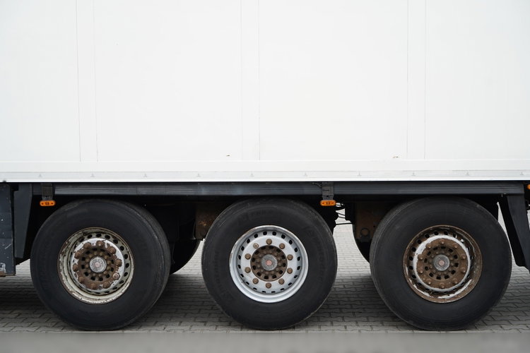 SCHMITZ CARGOBULL  / CHŁODNIA / THERMO KING /  WINDA DHOLLANDIA / KOSZ NA PALETY / SAF   zdjęcie 26