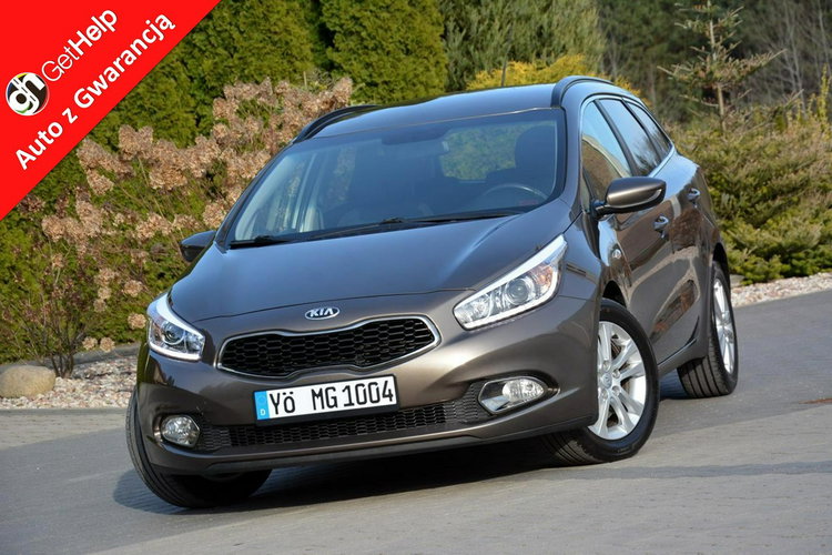 Cee'd Lift Navi Ledy Kamera Klimatronic Grz.kierownica Alu16 ASO Kia zdjęcie 1