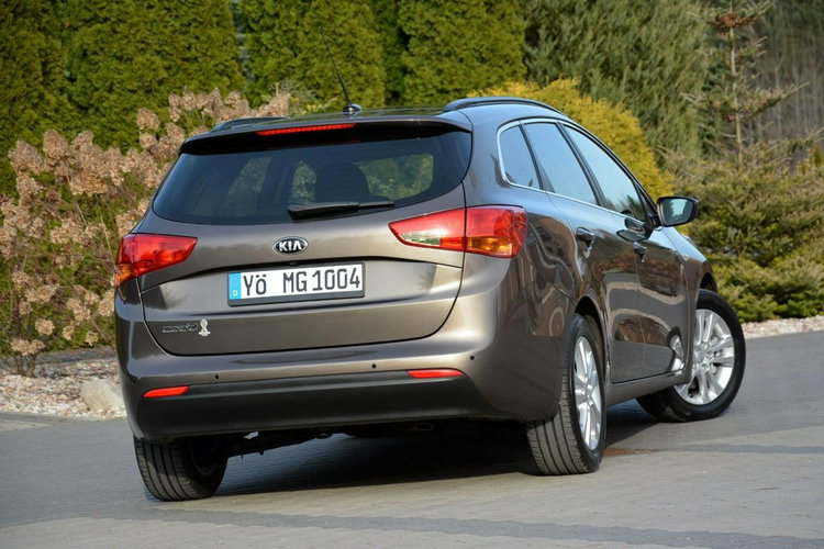 Cee'd Lift Navi Ledy Kamera Klimatronic Grz.kierownica Alu16 ASO Kia zdjęcie 13