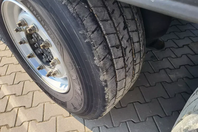 Schmitz ThermoKing SLXi300; DOST; Uchwyty promowe, Paleciara zdjęcie 10