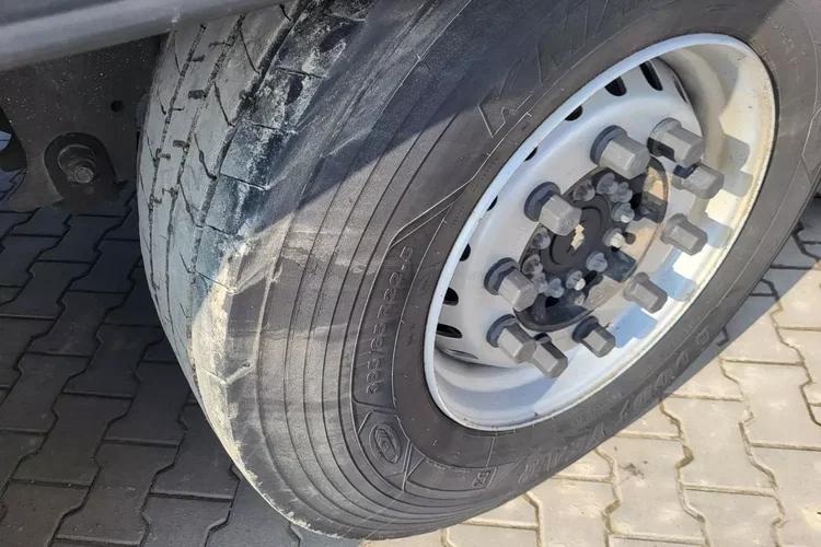 Schmitz ThermoKing SLXi300; DOST; Uchwyty promowe, Paleciara zdjęcie 11