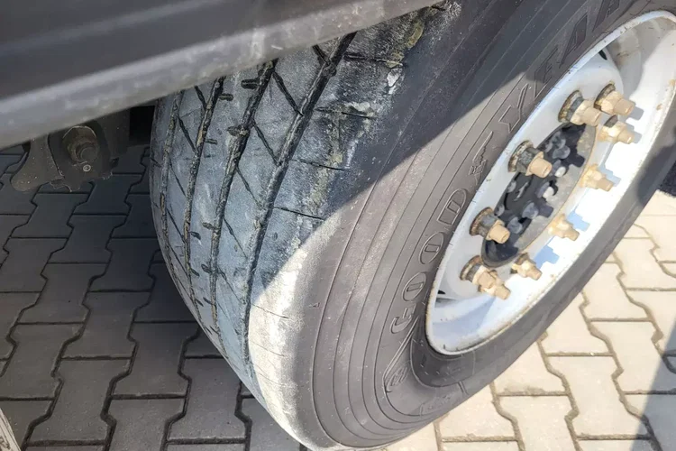 Schmitz ThermoKing SLXi300; DOST; Uchwyty promowe, Paleciara zdjęcie 12