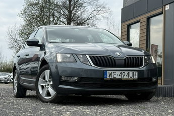 Skoda Octavia krajowy Poleasingowy I właściciel diesel 1.6 ASO VAT 23% Bezwypadkowy