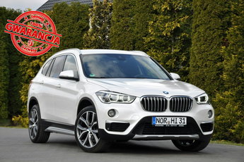 BMW X1 2.0d(150KM) Radar Xenon Ringi Navi Skóry El.Klapa Reling I Wł Alu19"