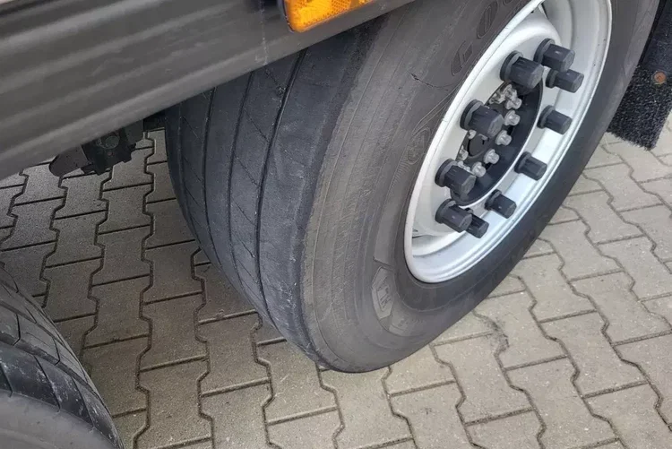 Schmitz Kwiatówka; ThermoKing SLXi300; Uchwyty promowe, Paleciarka, STD zdjęcie 10
