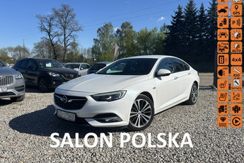Opel Insignia I właściciel, salon Polska, bezwypadkowy, serwisowana, gwarancja