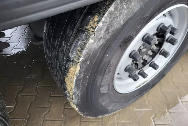 Schmitz ThermoKing SLXi300; uchwyty promowe; paleciara; szyna STD zdjęcie 6