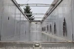 BENALU Wywrotka zdjęcie 22