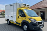 Peugeot Boxer Mroźnia Podwójne Zasilanie Unikat STAN nie Fiat Citroen Iveco 2016r zdjęcie 1