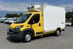 Peugeot Boxer Mroźnia Podwójne Zasilanie Unikat STAN nie Fiat Citroen Iveco 2016r zdjęcie 13