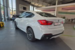 X6 BMW X6 xDrive30d - M PAKIET - POLSKI SALON zdjęcie 9