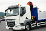 DAF / LF / 260 / ACC / E 6 / SKRZYNIOWY + HDS / PALFINGER PK 9002 / WYSIĘG 12 M / PILOT zdjęcie 34