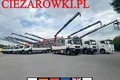samochód ciężarowy Renault zdjęcie 31