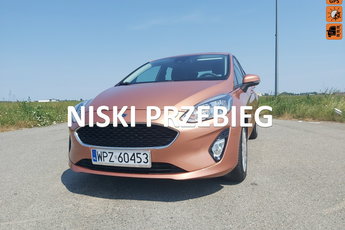 Ford Fiesta Pierwszy właściciel w Polsce 100% oryginał lakier