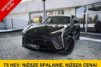 FORTHING T5 EVO Forthing T5 EVO