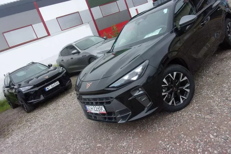 Cupra terramar zdjęcie 39