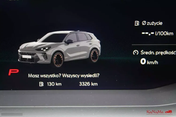 Cupra terramar zdjęcie 60