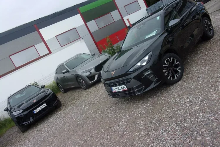 Cupra terramar zdjęcie 69