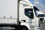 DAF LF / 260 / E 6 / ACC / BURTOFIRANKA + WINDA / ŁAD. 8 975 KG / 18 PALET zdjęcie 28