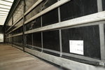 Wielton / FIRANKA / STANDARD / OŚ PODNOSZONA / DACH PODNOSZONY /  385/65 r22, 5 zdjęcie 14