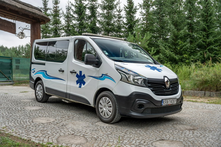 Renault Trafic Les Dauphins / Karetka / Pojazd Sanitarny / Nowy Silnik / Po Serwisie zdjęcie 10