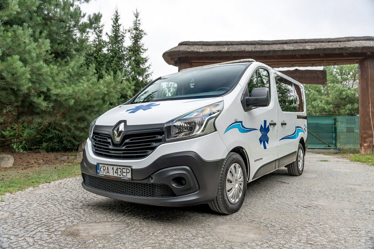 Renault Trafic Les Dauphins / Karetka / Pojazd Sanitarny / Nowy Silnik / Po Serwisie zdjęcie 12
